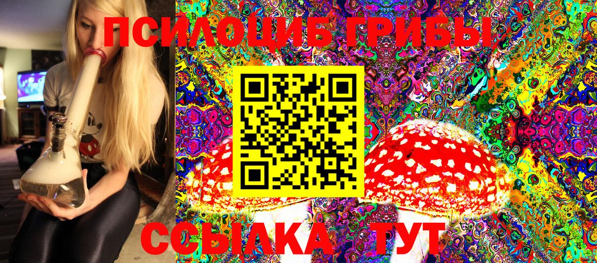 Клин  Галлюциногенные грибы Cubensis  Вход с VPN 